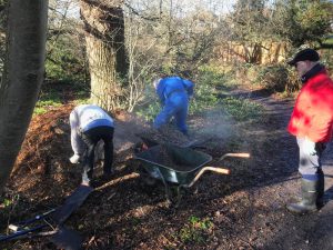 Digging woodchip to mulch trees