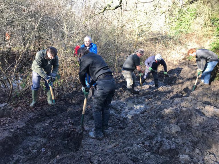 Volunteers digging for new pond