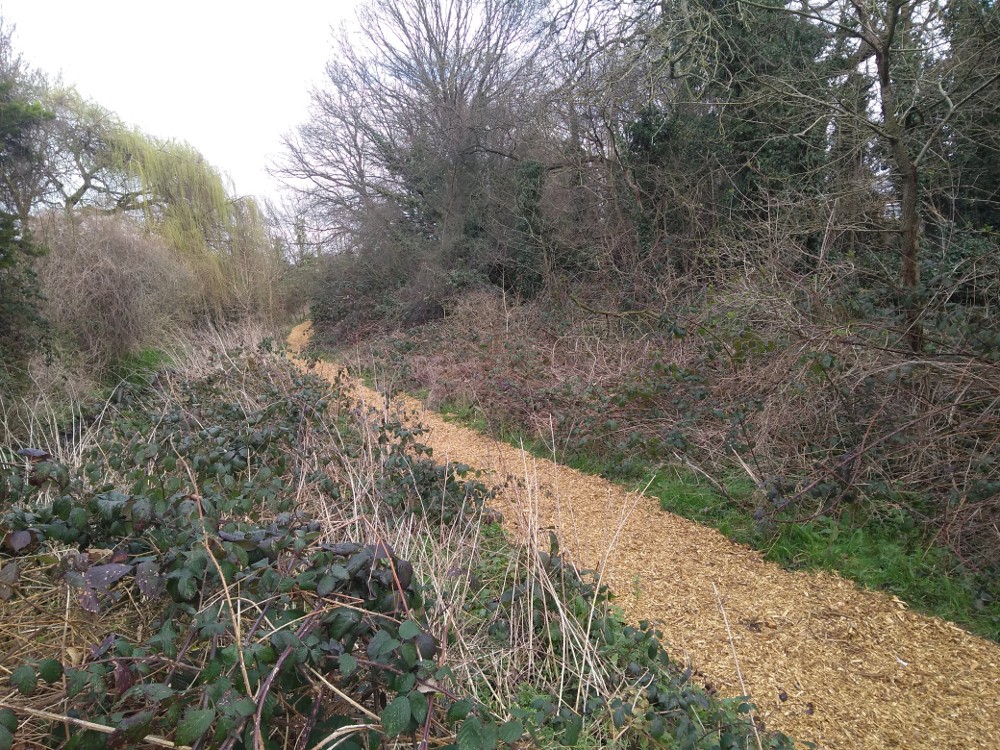 Path covered with woodchip