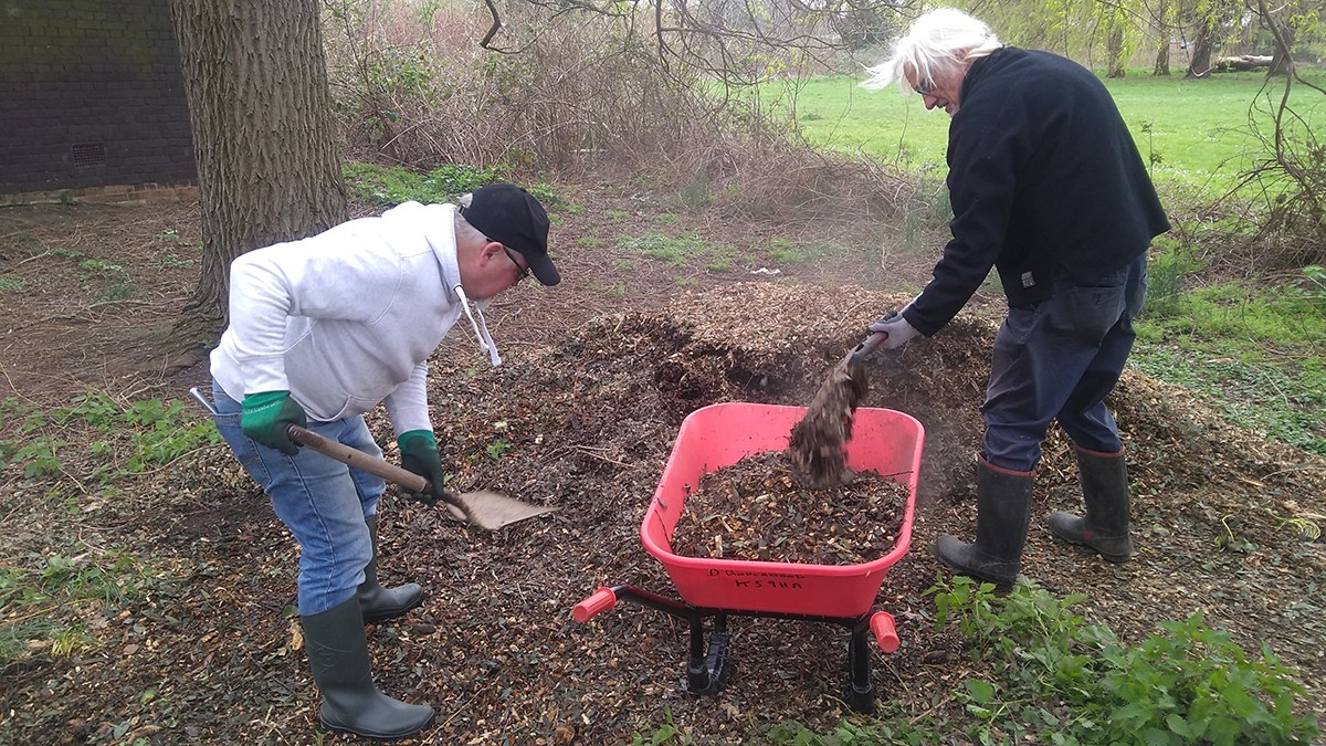 Volunteers shoveling woodchip into a wheelbarrow
