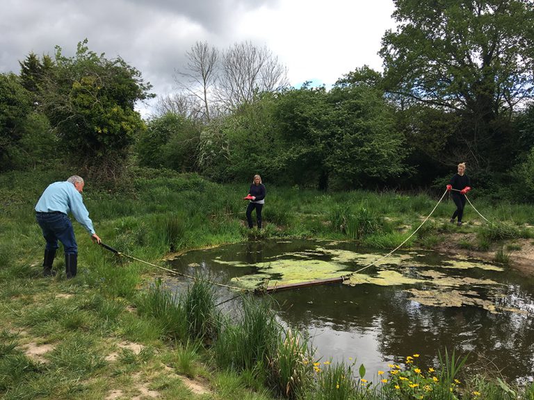 Volunteers using a rop slung across the pond to remove algae