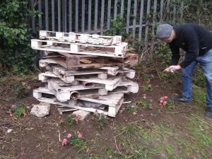 Pile of pallets being assembled to create a Bug Hotel