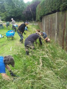 Volunteers cutting back overgrown vegetation