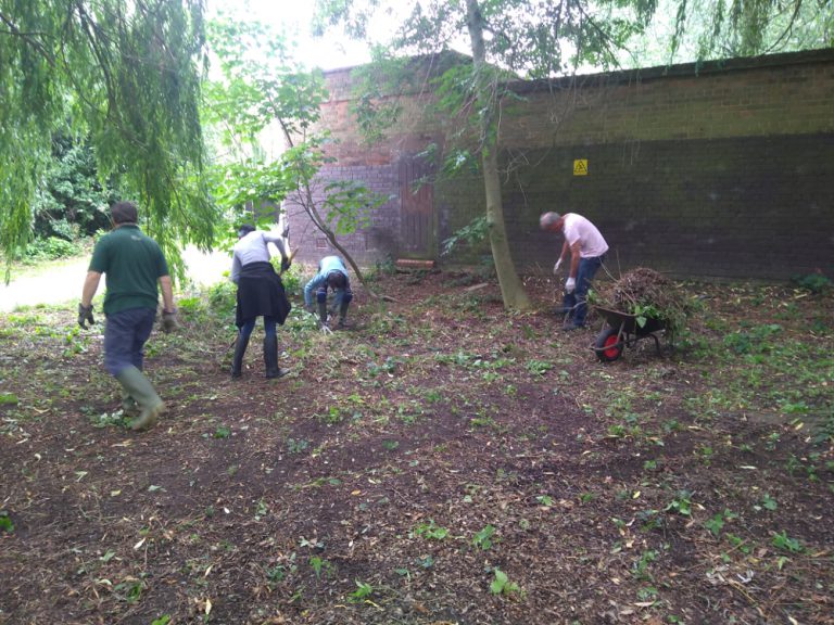 Volunteers clearing and gathering nettles and brambles