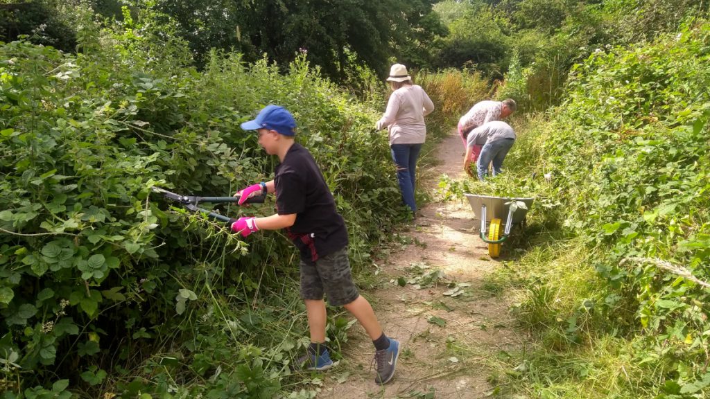 Volunteers cutting back vegetation