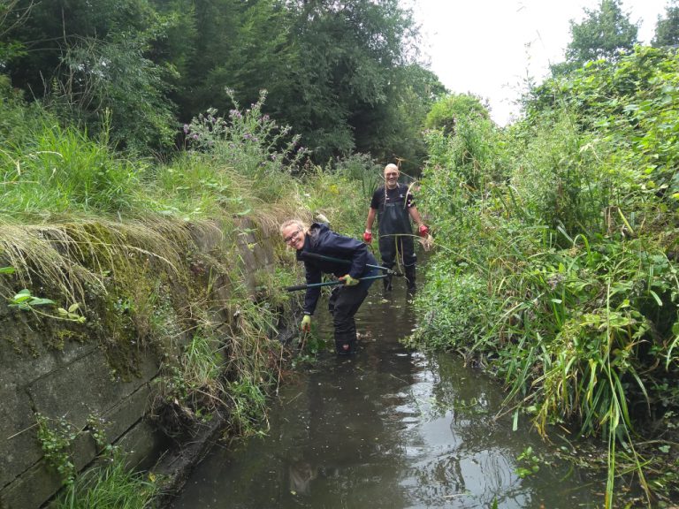 Volunteers in the stream clearing brambles