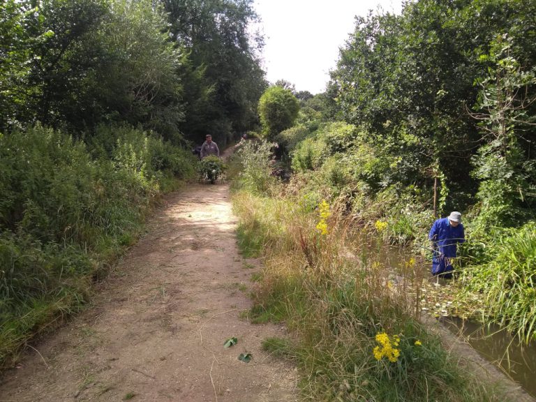 Volunteers in the stream and clearing the path