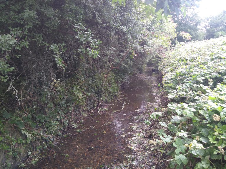 Stream cleared from encroaching vegetation